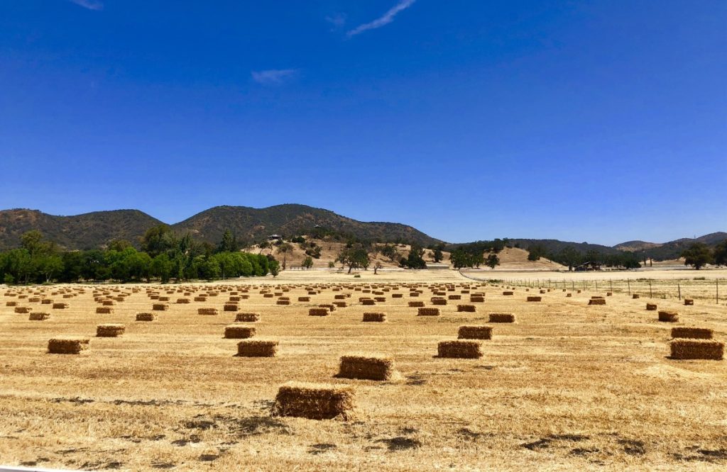 A Journey Through Hidden Valley’s History and Hollywood Connections